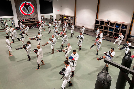 Students training from above.