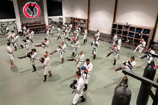 Students training from above.